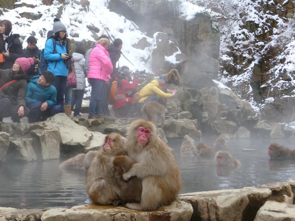 Akakura Yours Inn Myoko Ngoại thất bức ảnh